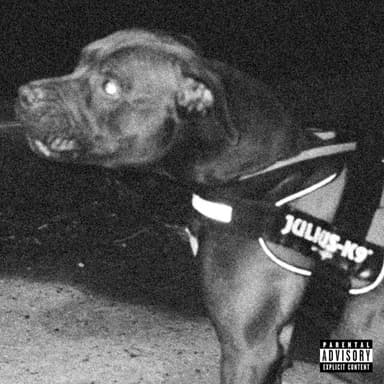 J'fais pas croquer Cover